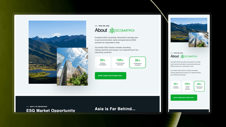 Ecomatrix - Webflow