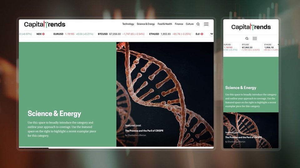The Capital Trends - Webflow