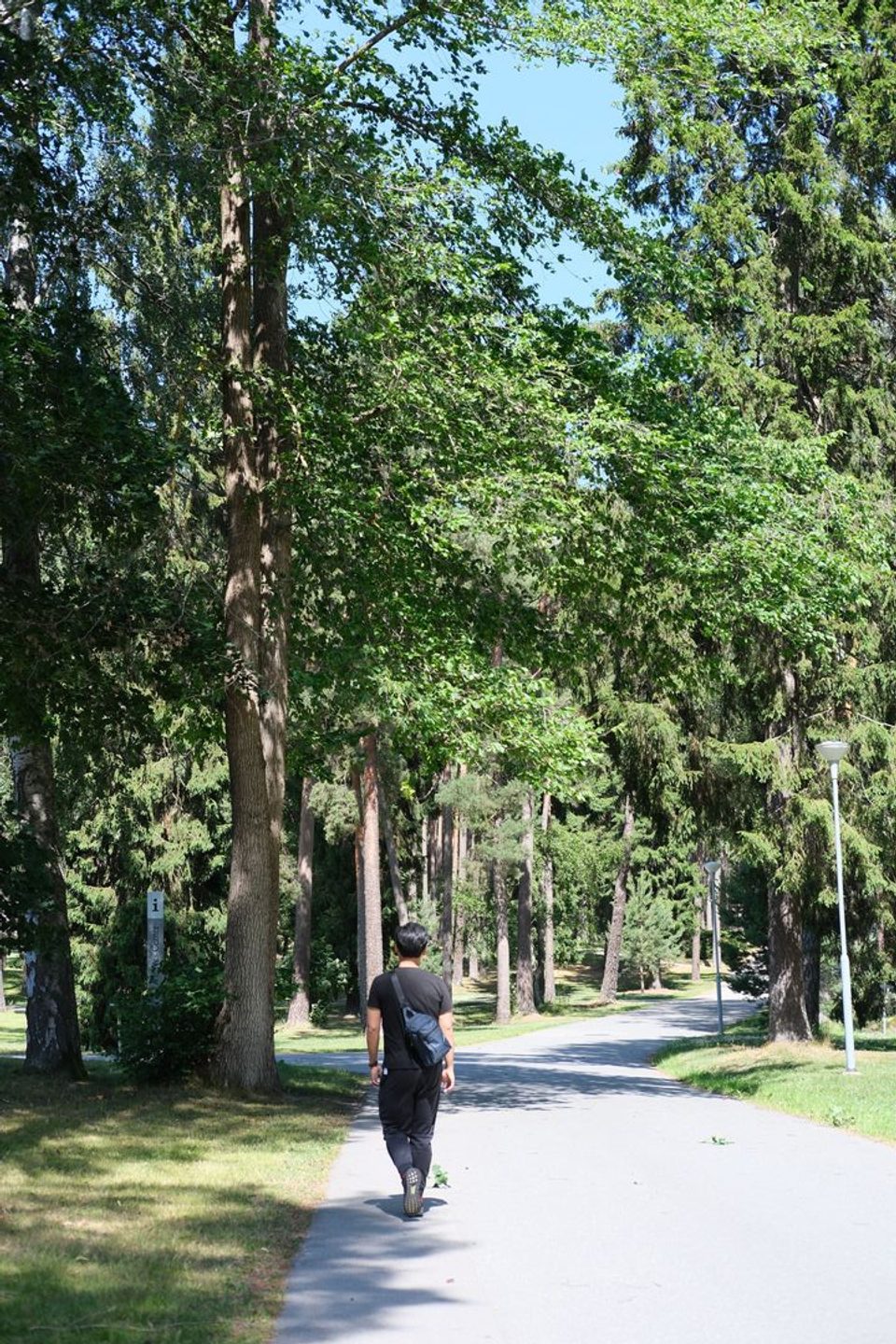 Photograph from Skogskyrkogården